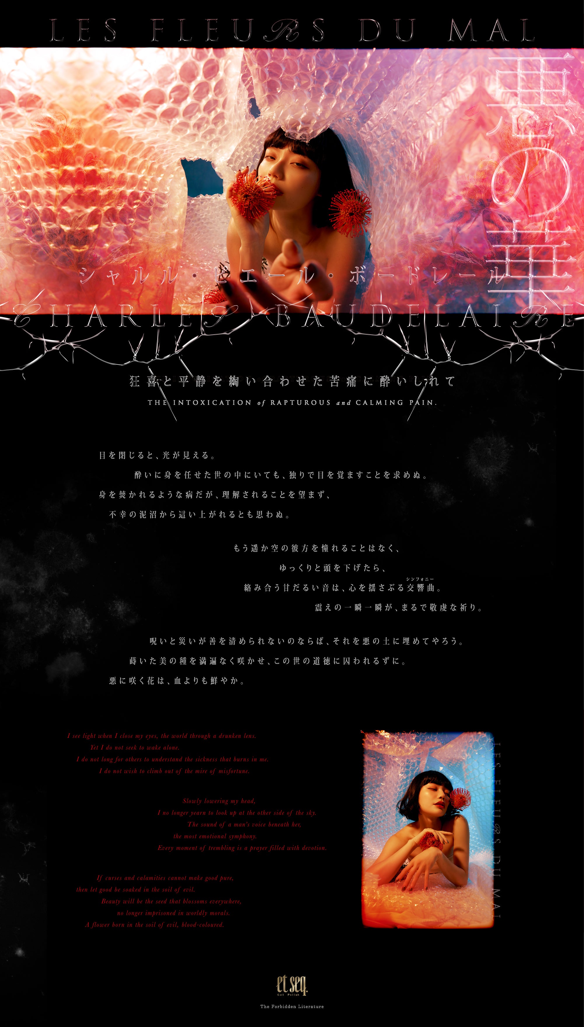 ボードレール「悪の華」狂喜と平静を綯い合わせた苦痛に酔いしれて