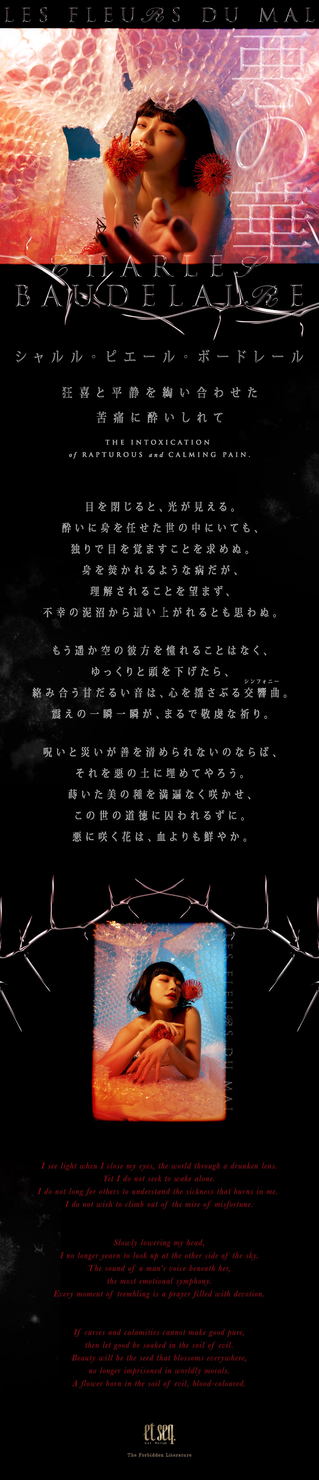 ボードレール「悪の華」狂喜と平静を綯い合わせた苦痛に酔いしれて