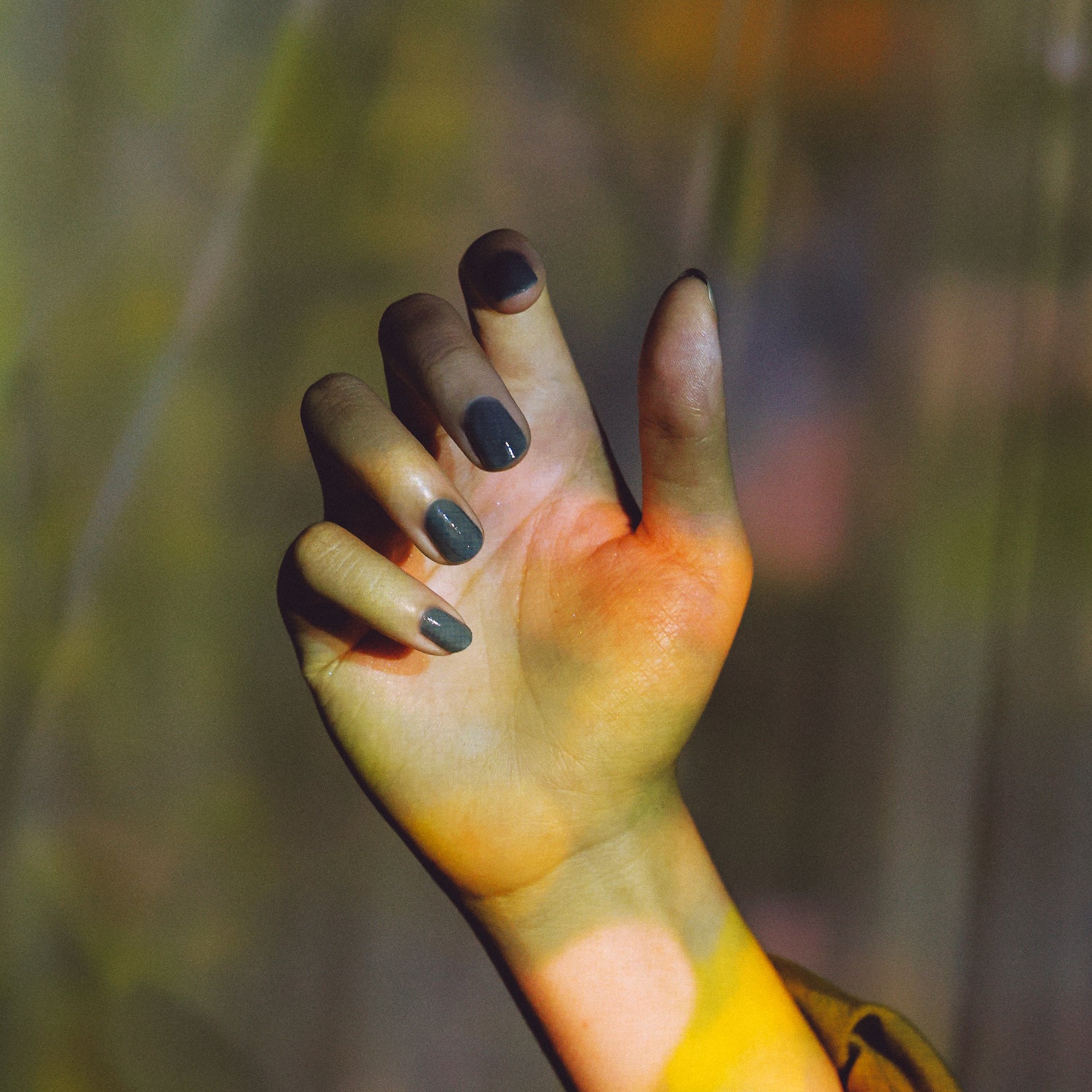 KM1934 虔十公園林 - et seq.(エセク)羽根ペンネイルポリッシュ - シアーマニキュア