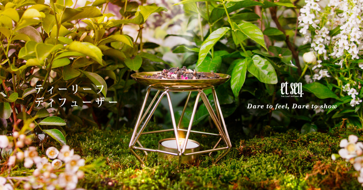 Tea Leaf Diffuser